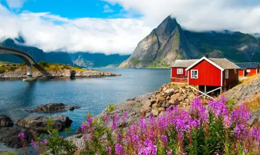 Norway Explores E-Invoicing for Businesses to Boost Competitiveness and Curb Financial Crime