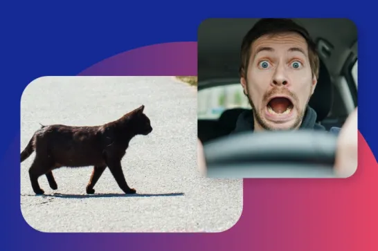 What You Can Learn From The Best Insurance Loyalty Programs in 2025